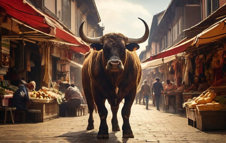 Is Bitcoin Repeating Previous Bull Cycles?
