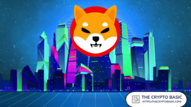“SHIB Ready to Conquer the Virtual World”
