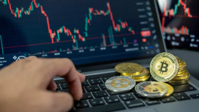 ‘Hawk Tuah’ crypto token soars nearly 50% in a month 