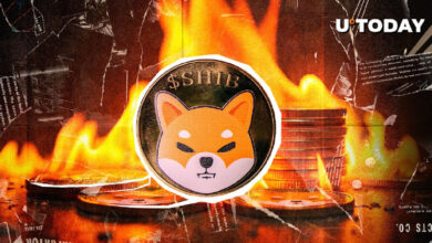 Shiba Inu Soars 6,153% in Weekly Burns, How Much SHIB Was Burned