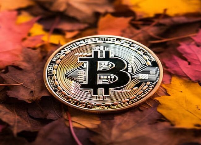 Crypto Market Overview – What Happened in October? Crypto Market Overview – What Happened in October?
