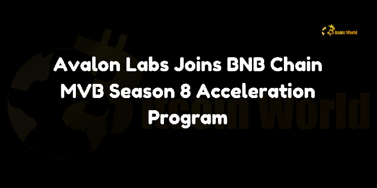 Avalon Labs Joins BNB Chain MVB Season 8 Acceleration Program Avalon Labs Joins BNB Chain MVB Season 8 Acceleration Program
