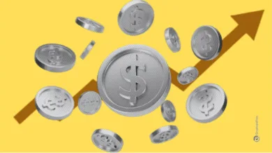 Crypto funding rounds broke B in October, led by Animoca Brands