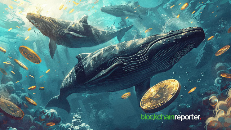 Whale Accumulates 11,658 BTC Worth 0.5M in Strategic Buy Moves Since March Whale Accumulates 11,658 BTC Worth 0.5M in Strategic Buy Moves Since March