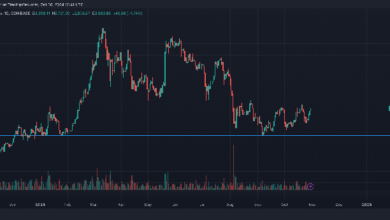 Ether Gains 2.5%, Primed for More Upside as Negative Sentiment Leads to Dangerous Short Skew