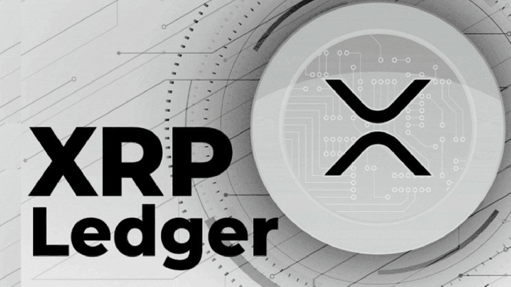 XRP Ledger (XRPL) Transaction Type Changing, Here’s Why It Matters XRP Ledger (XRPL) Transaction Type Changing, Here’s Why It Matters