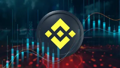 Binance Futures Adds POPCATUSDT, MEWUSDT Perpetual Contracts