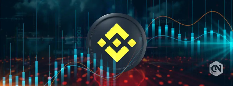 Binance Futures Adds POPCATUSDT, MEWUSDT Perpetual Contracts